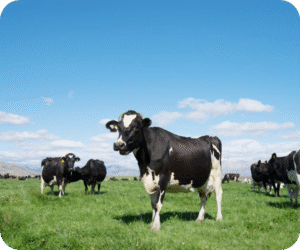 タイトルが入ります。タイトルが入ります。タイトルが入ります。のサムネイル画像